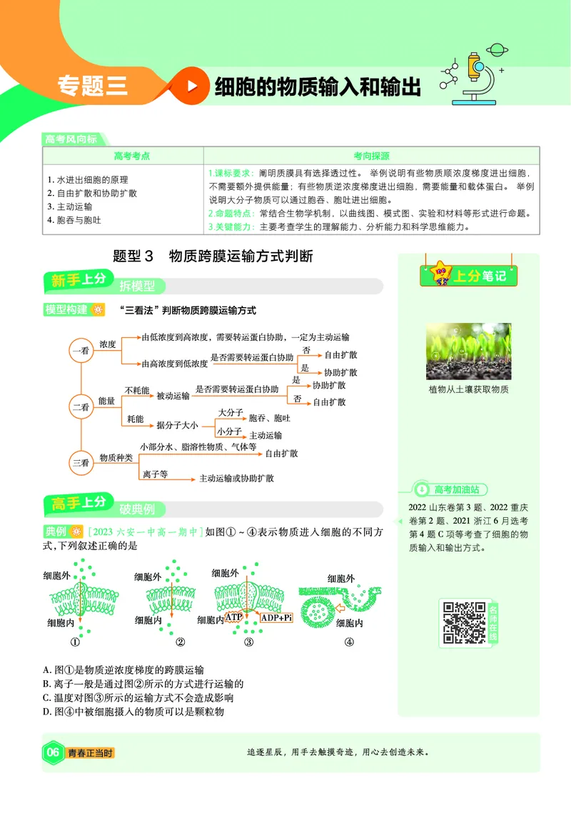 《上分手册-生物必修1RJ（不定项）-金考卷单元双测卷_2024天星高中单元双测卷上分手册》第6页预览