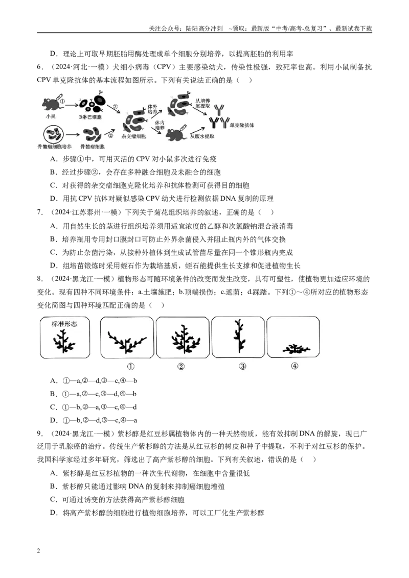 《专题14细胞工程、胚胎工程（原卷版）_06-生物-高考总复习_专项复习_2025年_2024年高考一模试题分类汇编生物新高考通用》第2页预览