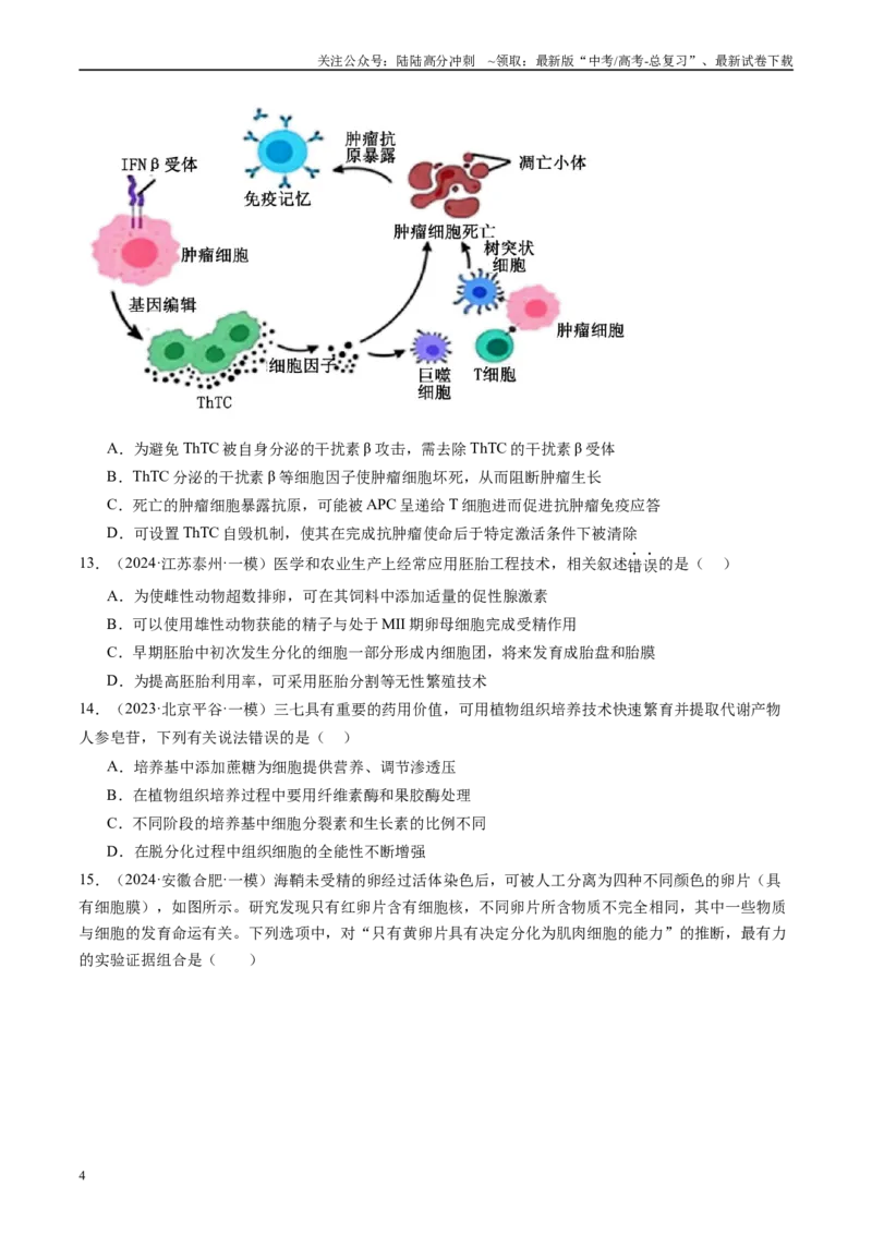 《专题14细胞工程、胚胎工程（原卷版）_06-生物-高考总复习_专项复习_2025年_2024年高考一模试题分类汇编生物新高考通用》第4页预览