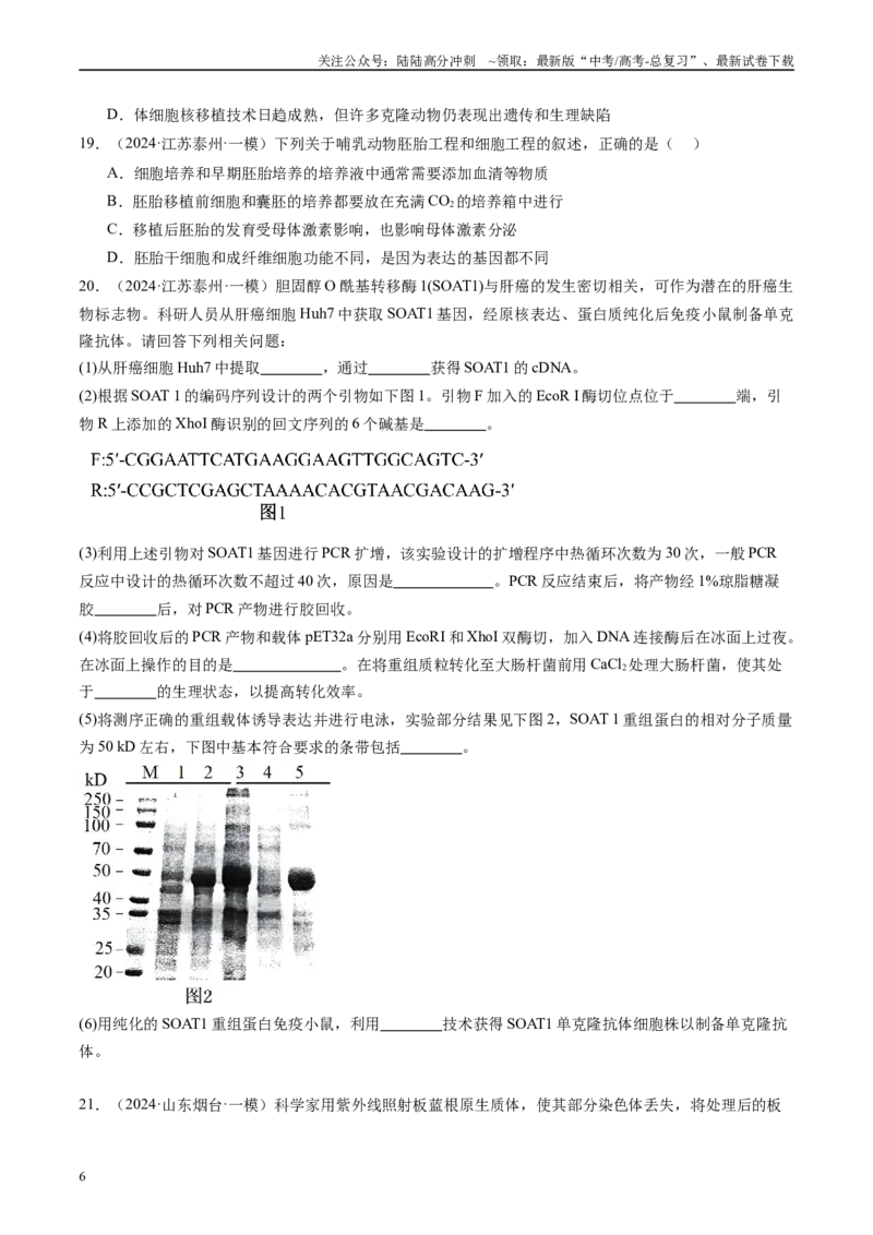 《专题14细胞工程、胚胎工程（原卷版）_06-生物-高考总复习_专项复习_2025年_2024年高考一模试题分类汇编生物新高考通用》第6页预览