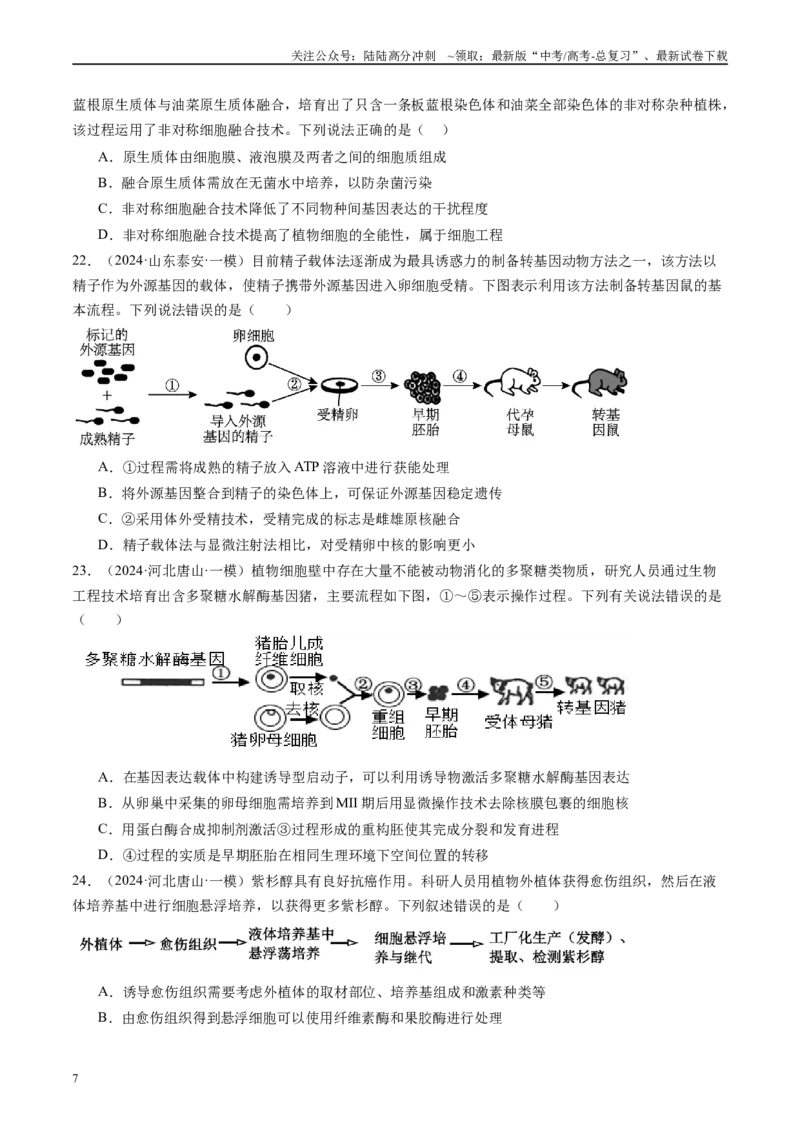 《专题14细胞工程、胚胎工程（原卷版）_06-生物-高考总复习_专项复习_2025年_2024年高考一模试题分类汇编生物新高考通用》第7页预览
