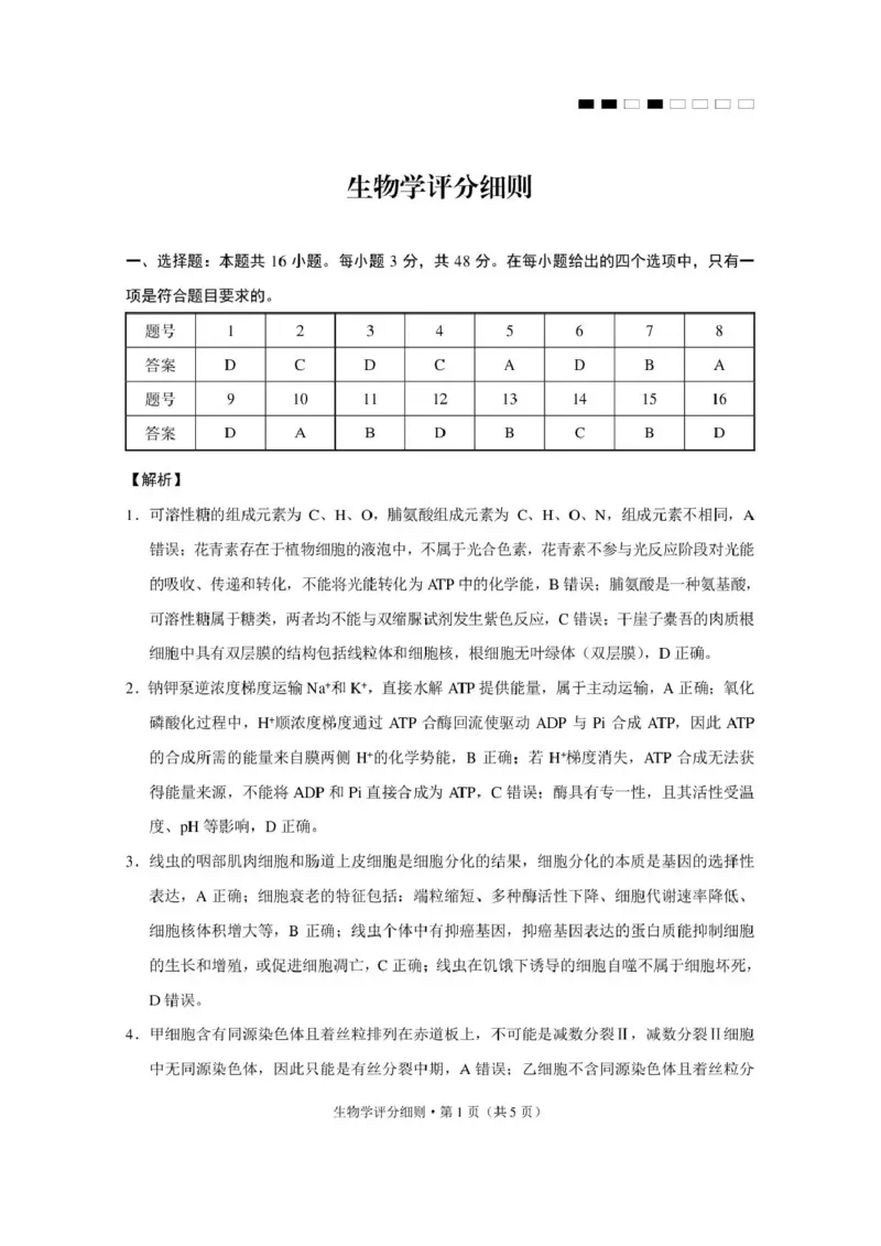 《西南名校联盟2026届“3+3+3”高考备考诊断性联考（四）生物答案_2024-2027高三（6-6月题库）_2026年05月高三试卷_260502西南名校联盟2026届“3+3+3”高考备考诊断性联考（四）（全科）》第1页预览
