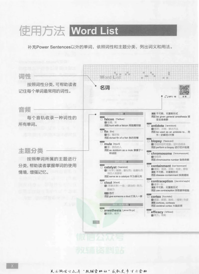 《终极英语单词12000英语母语水平3000词_004_小学1-6年级全科全套_2024更新专题_小学英语专题资料_终极英语单词12000》第10页预览