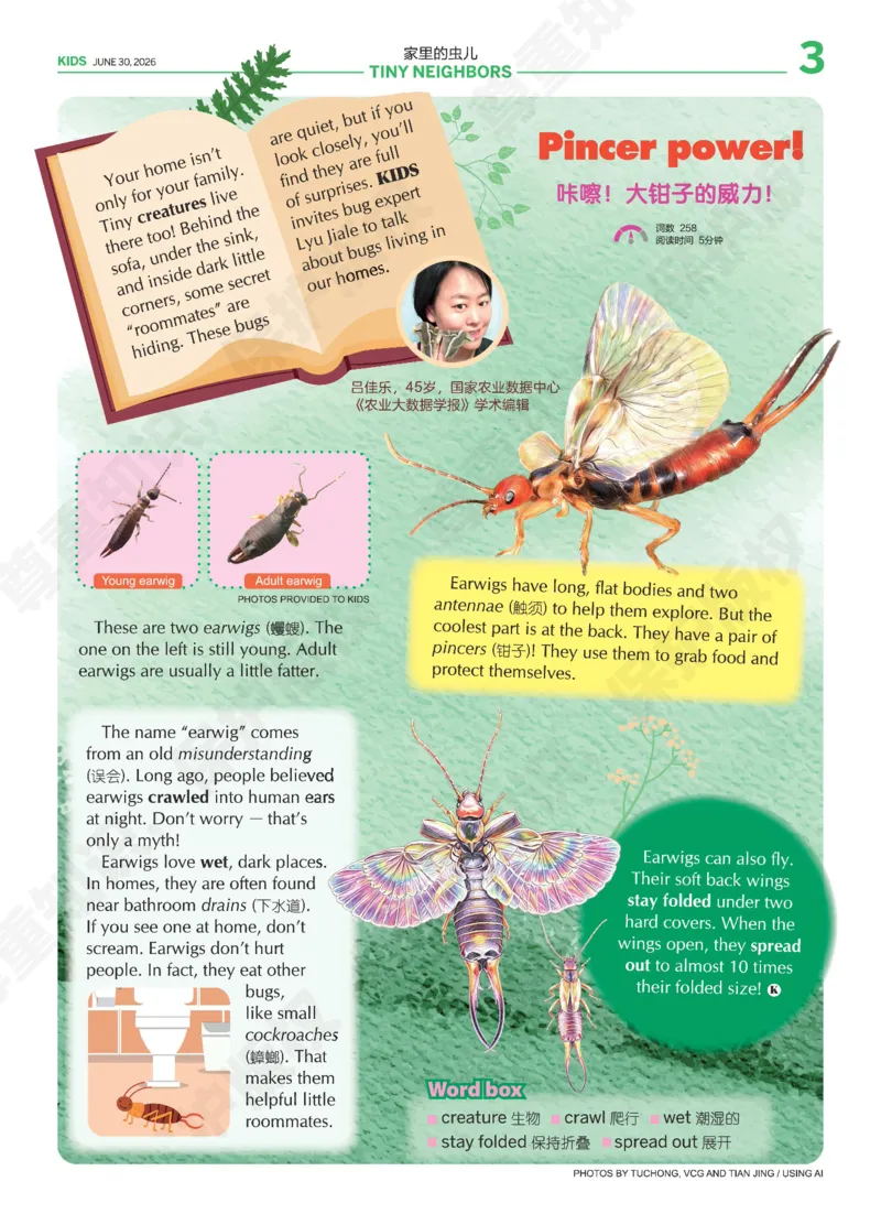 《小学25-26学年第38-40期暑假合刊_866_小初高学习资料合集（每天更新）_2026年小学《21世纪报》春季+暑假合刊（英语）_2026暑假合刊》第3页预览