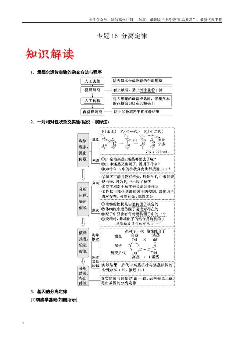 《专题16分离定律（原卷版)_06-生物-高考总复习_一轮复习_2024年_2024年高考生物一轮复习重难点专项突破_资料》第1页预览