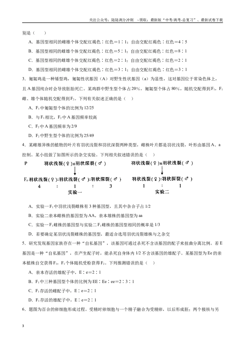 《专题16分离定律（原卷版)_06-生物-高考总复习_一轮复习_2024年_2024年高考生物一轮复习重难点专项突破_资料》第3页预览