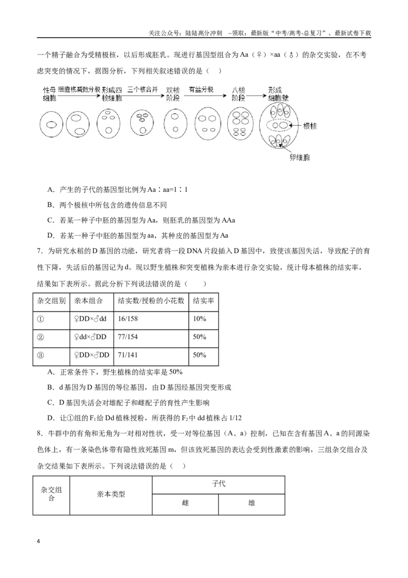 《专题16分离定律（原卷版)_06-生物-高考总复习_一轮复习_2024年_2024年高考生物一轮复习重难点专项突破_资料》第4页预览