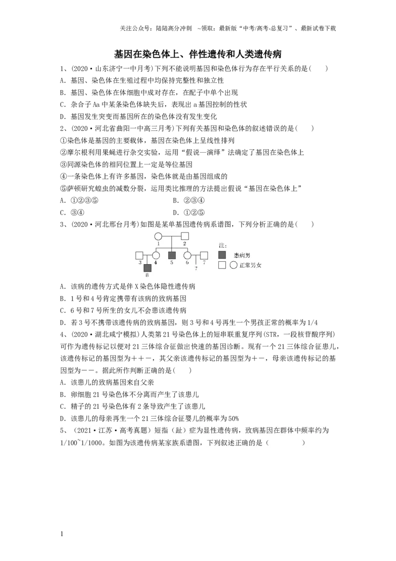 《专题16基因在染色体上、伴性遗传和人类遗传病（精练）（原卷版）_06-生物-高考总复习_一轮复习_2024年_2024年高考生物一轮复习串讲精练知识点梳理练习题_精练》第1页预览