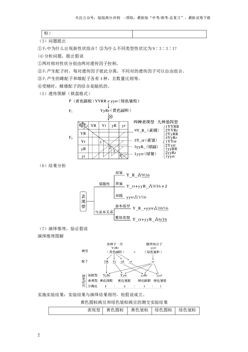 《专题15基因的自由组合定律（串讲）（解析版）_06-生物-高考总复习_一轮复习_2024年_2024年高考生物一轮复习串讲精练知识点梳理练习题_串讲》第2页预览