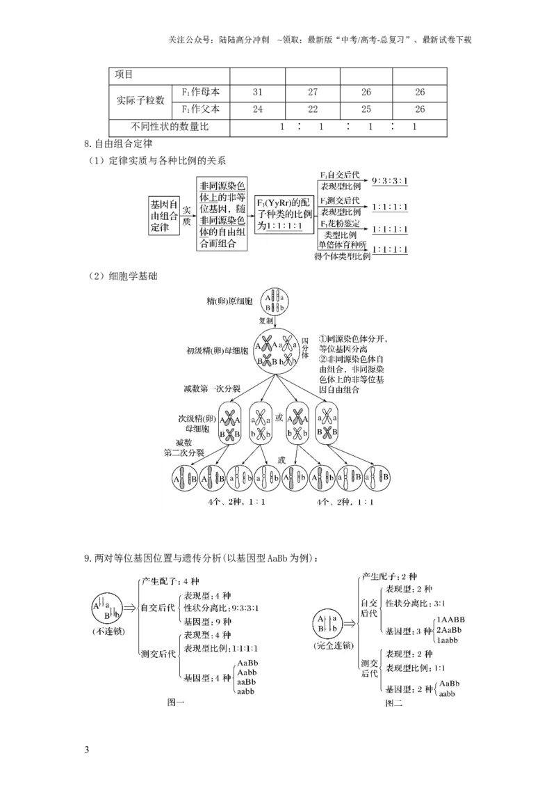 《专题15基因的自由组合定律（串讲）（解析版）_06-生物-高考总复习_一轮复习_2024年_2024年高考生物一轮复习串讲精练知识点梳理练习题_串讲》第3页预览