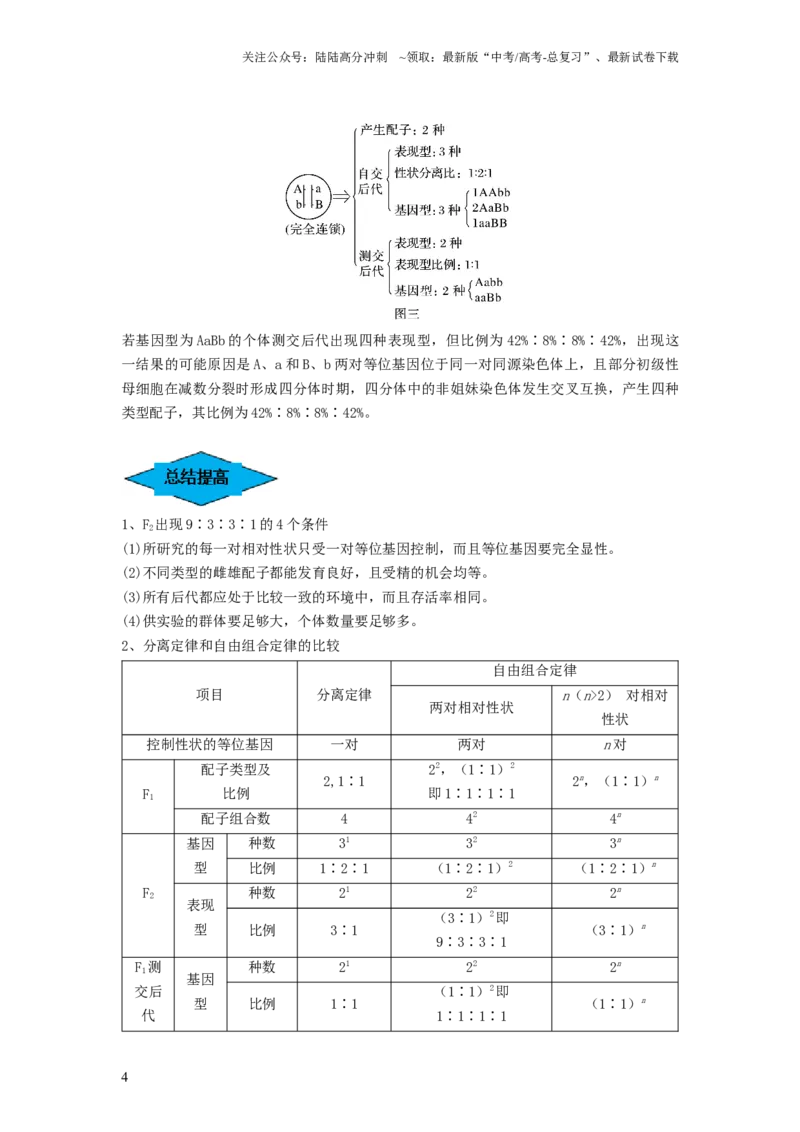 《专题15基因的自由组合定律（串讲）（解析版）_06-生物-高考总复习_一轮复习_2024年_2024年高考生物一轮复习串讲精练知识点梳理练习题_串讲》第4页预览