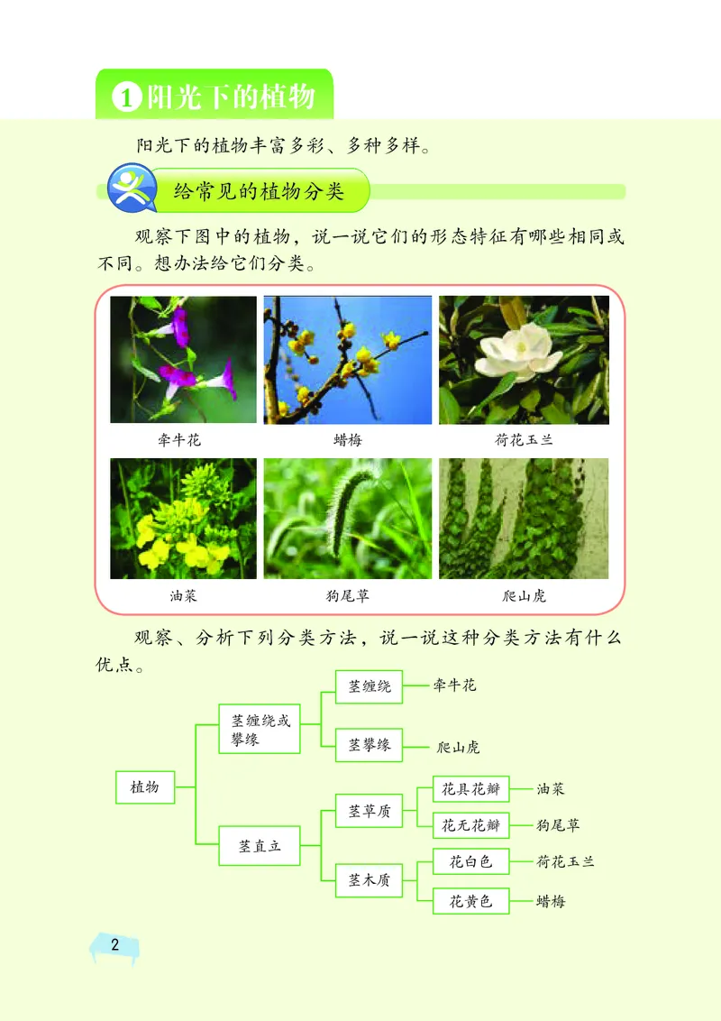 《湘科版科学教材六上_小学1-6年级全科全套_2025更新专题（含教材）_寒假预复习必备资料2024新版小学教材电子版_小学科学_湘科版（无水印）》第10页预览