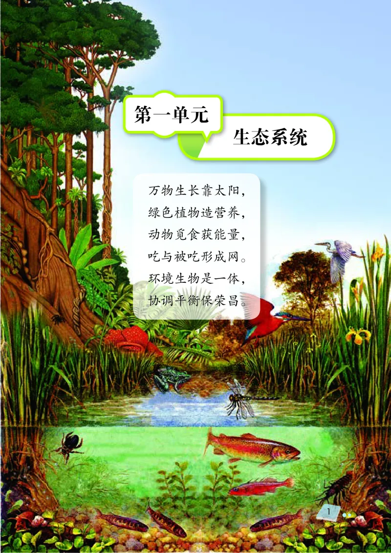 《湘科版科学教材六上_小学1-6年级全科全套_2025更新专题（含教材）_寒假预复习必备资料2024新版小学教材电子版_小学科学_湘科版（无水印）》第9页预览