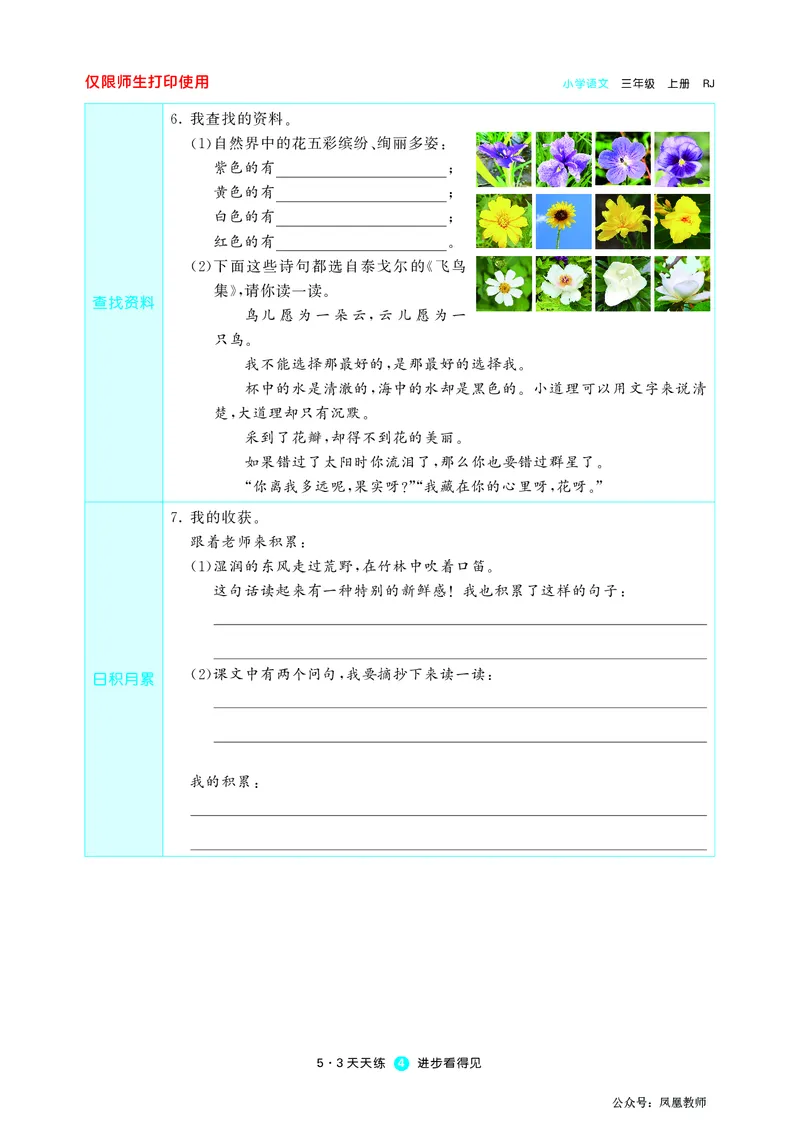 《三（上）语文53预习单_小学1-6年级全科全套_1-6年级全科上册_三年级_语文_语文三上课前预习》第6页预览