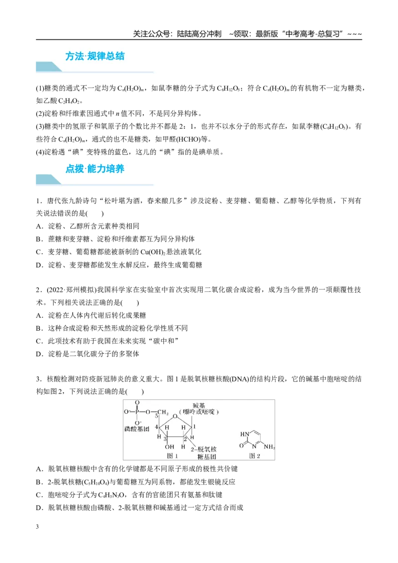 《（重点·方法·点拨）第59讲油脂　生物大分子-（学生版）_05-化学-高考总复习_一轮复习_2026年-化学高考一轮复习_2026年高考化学大一轮复习卓越讲义重难点-G355_资料》第3页预览
