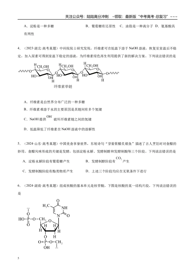 《（重点·方法·点拨）第59讲油脂　生物大分子-（学生版）_05-化学-高考总复习_一轮复习_2026年-化学高考一轮复习_2026年高考化学大一轮复习卓越讲义重难点-G355_资料》第5页预览