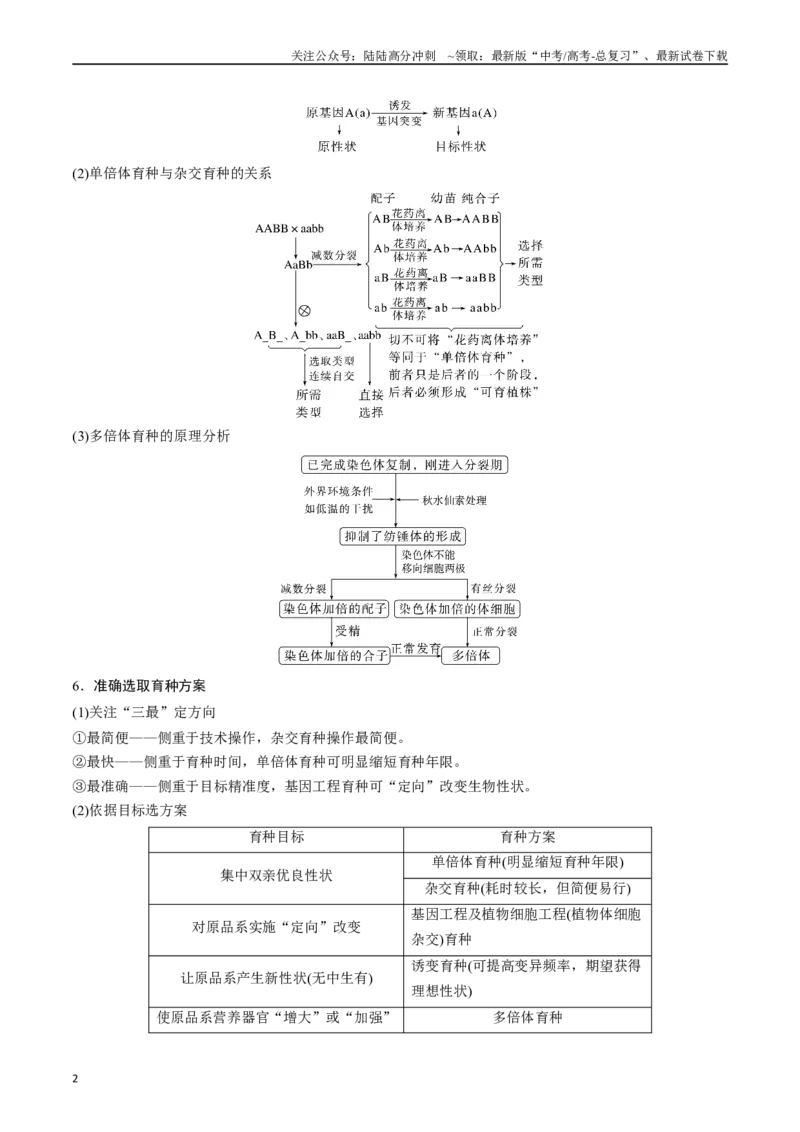 《专题14变异、育种与进化（原卷版）_06-生物-高考总复习_专项复习_2024年_2024年高考生物经典小题必刷_资料》第2页预览
