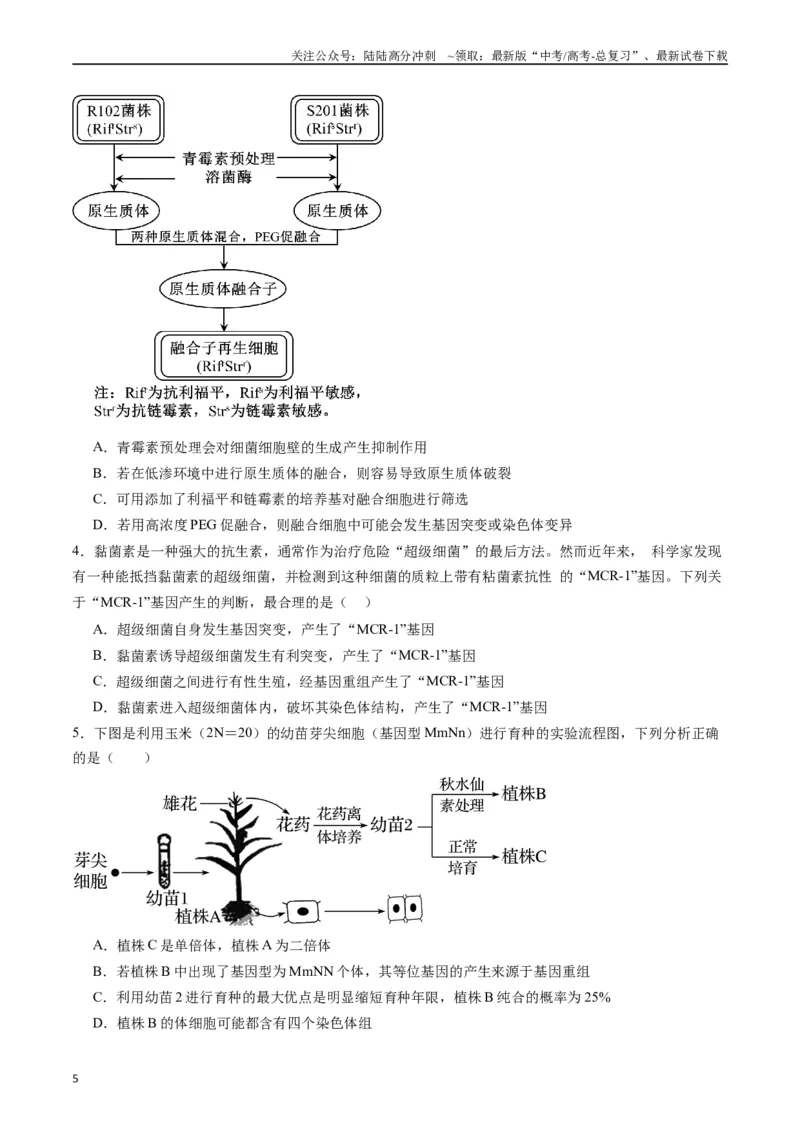 《专题14变异、育种与进化（原卷版）_06-生物-高考总复习_专项复习_2024年_2024年高考生物经典小题必刷_资料》第5页预览