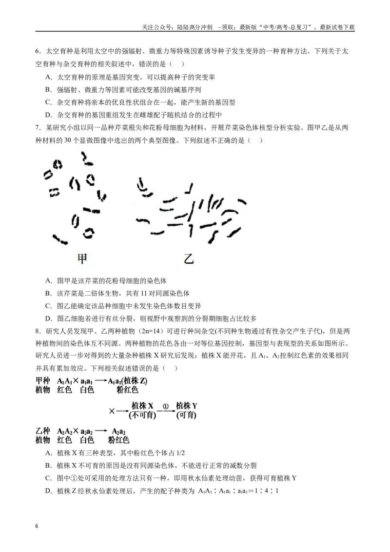 《专题14变异、育种与进化（原卷版）_06-生物-高考总复习_专项复习_2024年_2024年高考生物经典小题必刷_资料》第6页预览
