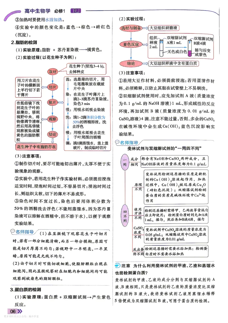 《学思用_2027版高中《天星一遍过》（生物）必修1（人教单选版）》第8页预览