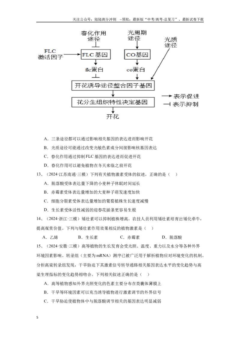 《专题13植物激素调节（原卷版）_06-生物-高考总复习_专项复习_2025年_2024年高考三模试题分类汇编生物2新高考通用》第5页预览
