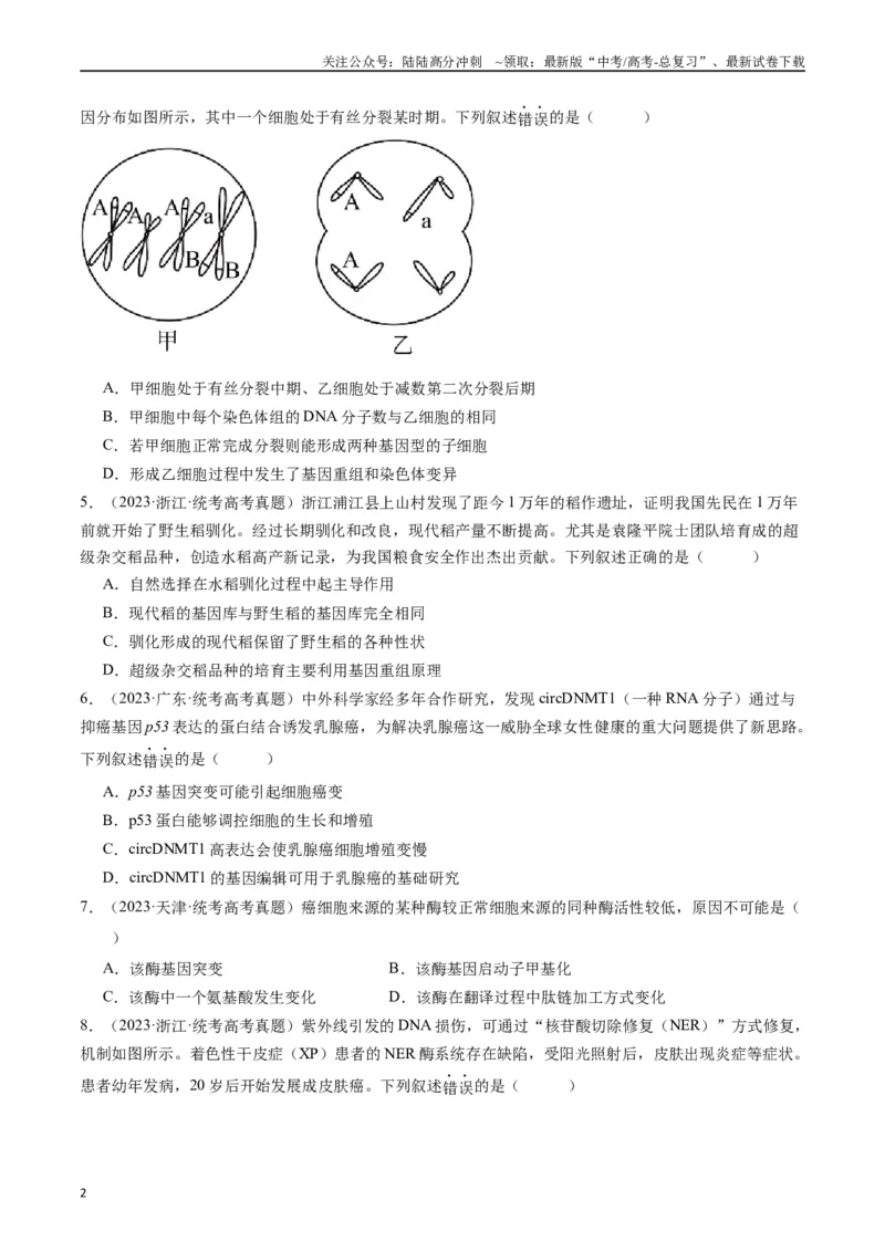 《专题14变异、育种与进化（原卷版）_06-生物-高考总复习_专项复习_2024年_2024年新高考生物复习热点考点真题模拟题必刷题练_资料》第2页预览