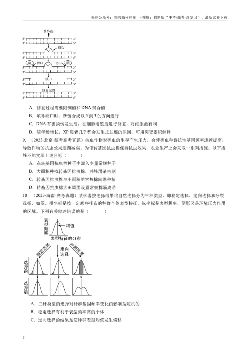 《专题14变异、育种与进化（原卷版）_06-生物-高考总复习_专项复习_2024年_2024年新高考生物复习热点考点真题模拟题必刷题练_资料》第3页预览