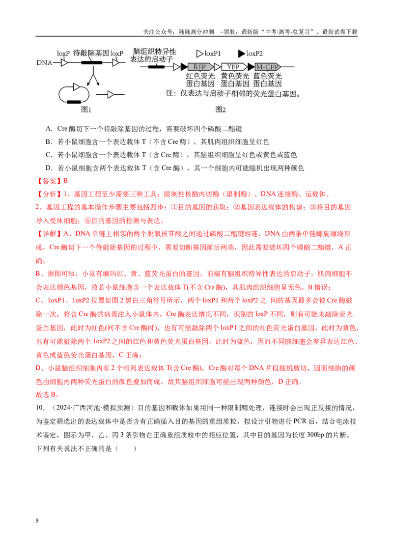 《专题14基因工程（解析版）_06-生物-高考总复习_专项复习_2024年_2024年高考生物重难压轴题型考前终极押题_资料》第9页预览