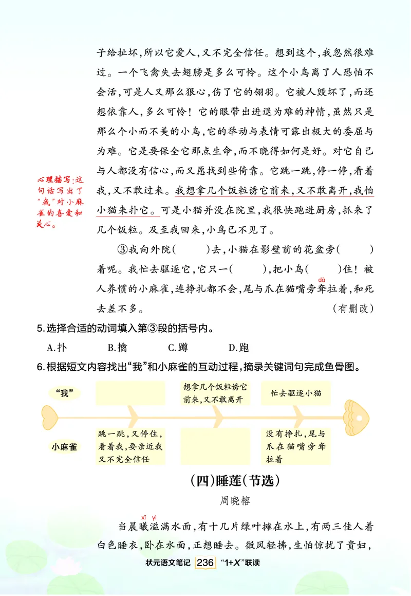 《三年级语文下册“1+X”联读_小学1-6年级全科全套_1-6年级全科下册_三年级_三年级下语文_语文三下阅读理解练习》第3页预览