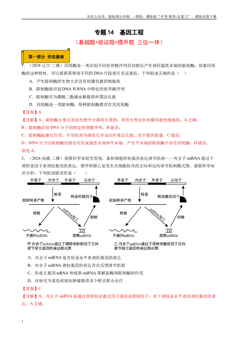 《专题14基因工程（解析版）_06-生物-高考总复习_专项复习_2025年_2024年高考二模试题分类汇编生物新高考通用》第1页预览