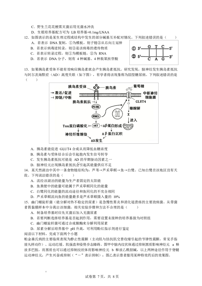 《浙江省北仑中学2026-2027学年高三上学期返校考生物试题_小初高学习资料合集（每天更新）_宁波北仑返校考浙江省宁波市北仑中学2026-2027学年高三上学期返校考》第3页预览