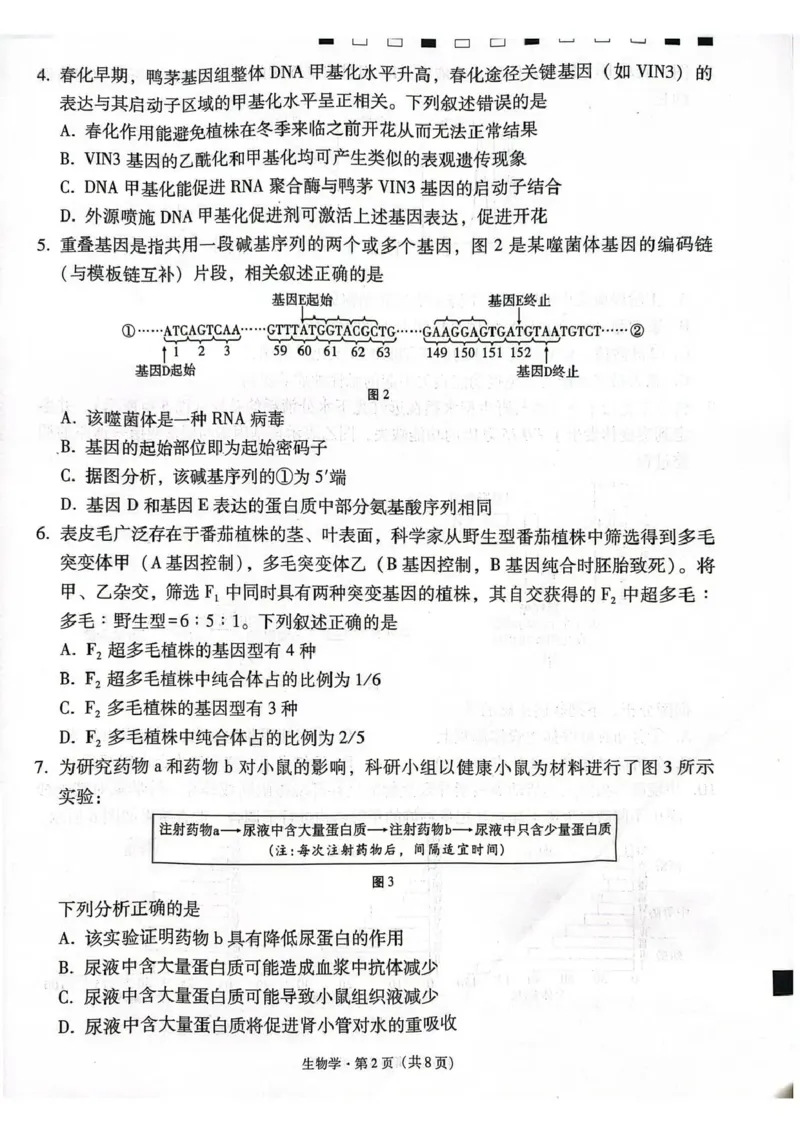 《西南名校联盟2026届“3+3+3”高考备考诊断性联考（五）生物_2024-2027高三（6-6月题库）_2026年05月高三试卷_260516西南名校联盟2026届“3+3+3”高考备考诊断性联考（五）》第2页预览