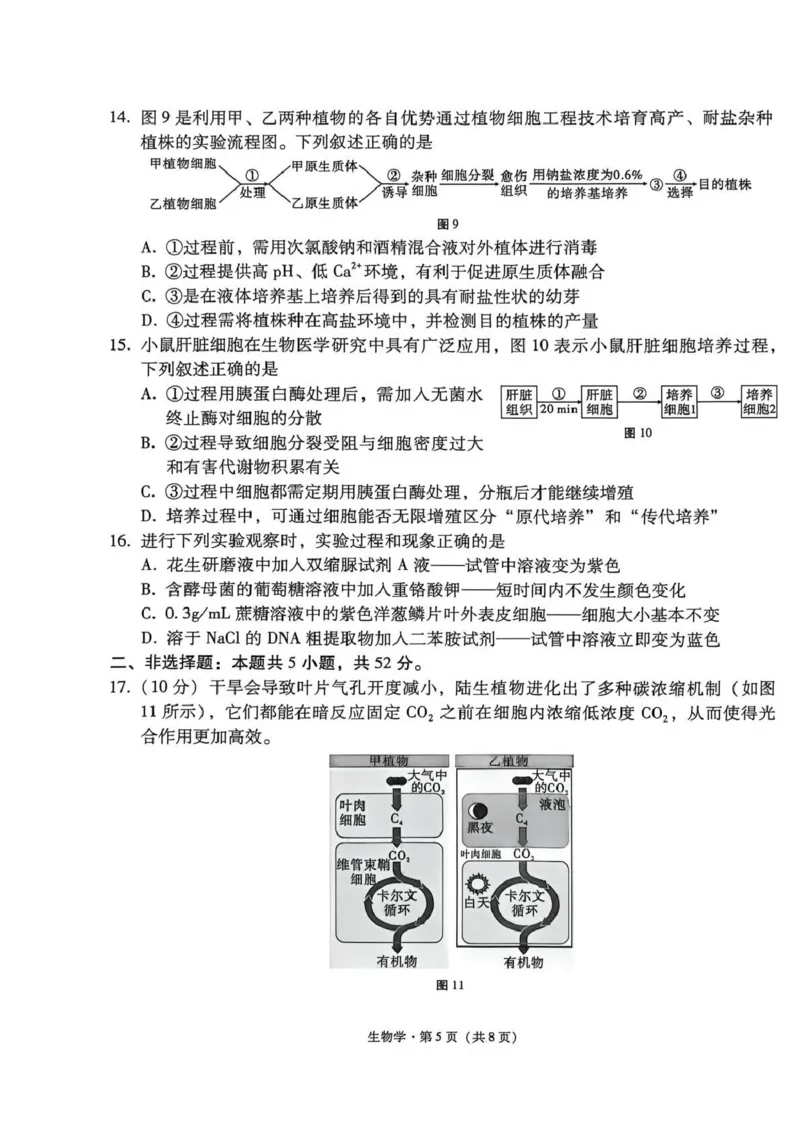 《西南名校联盟2026届“3+3+3”高考备考诊断性联考（五）生物_2024-2027高三（6-6月题库）_2026年05月高三试卷_260516西南名校联盟2026届“3+3+3”高考备考诊断性联考（五）》第5页预览