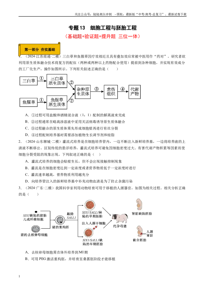 《专题13细胞工程与胚胎工程（原卷版）_06-生物-高考总复习_专项复习_2025年_2024年高考二模试题分类汇编生物新高考通用》第1页预览
