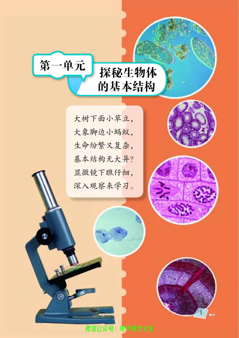 《湘科版科学教材五下_小学1-6年级全科全套_2025更新专题（含教材）_寒假预复习必备资料2024新版小学教材电子版_小学科学_湘科版（无水印）》第9页预览