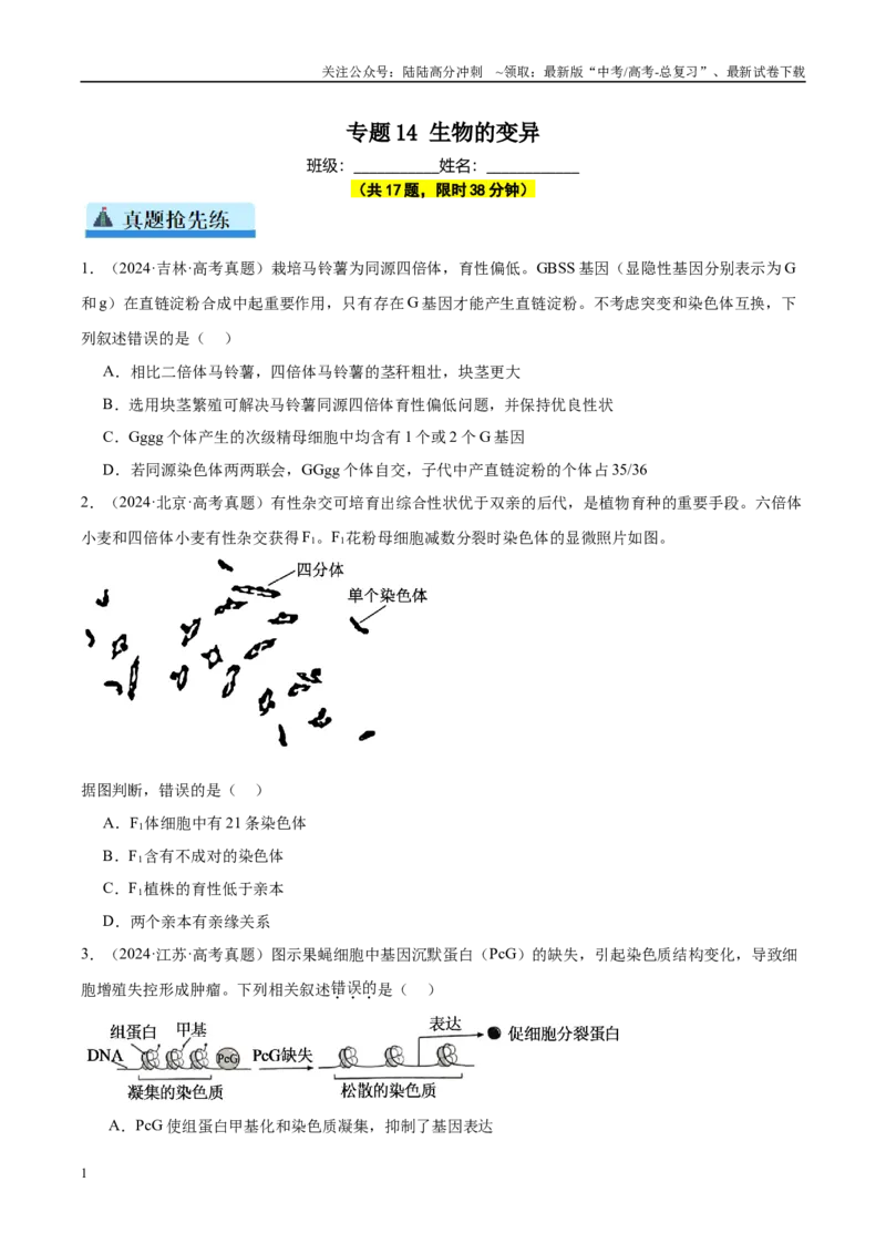 《专题14生物的变异（学生版）_06-生物-高考总复习_一轮复习_2025年_2025年高考生物一轮复习考点精讲精练（新高考通用）》第1页预览