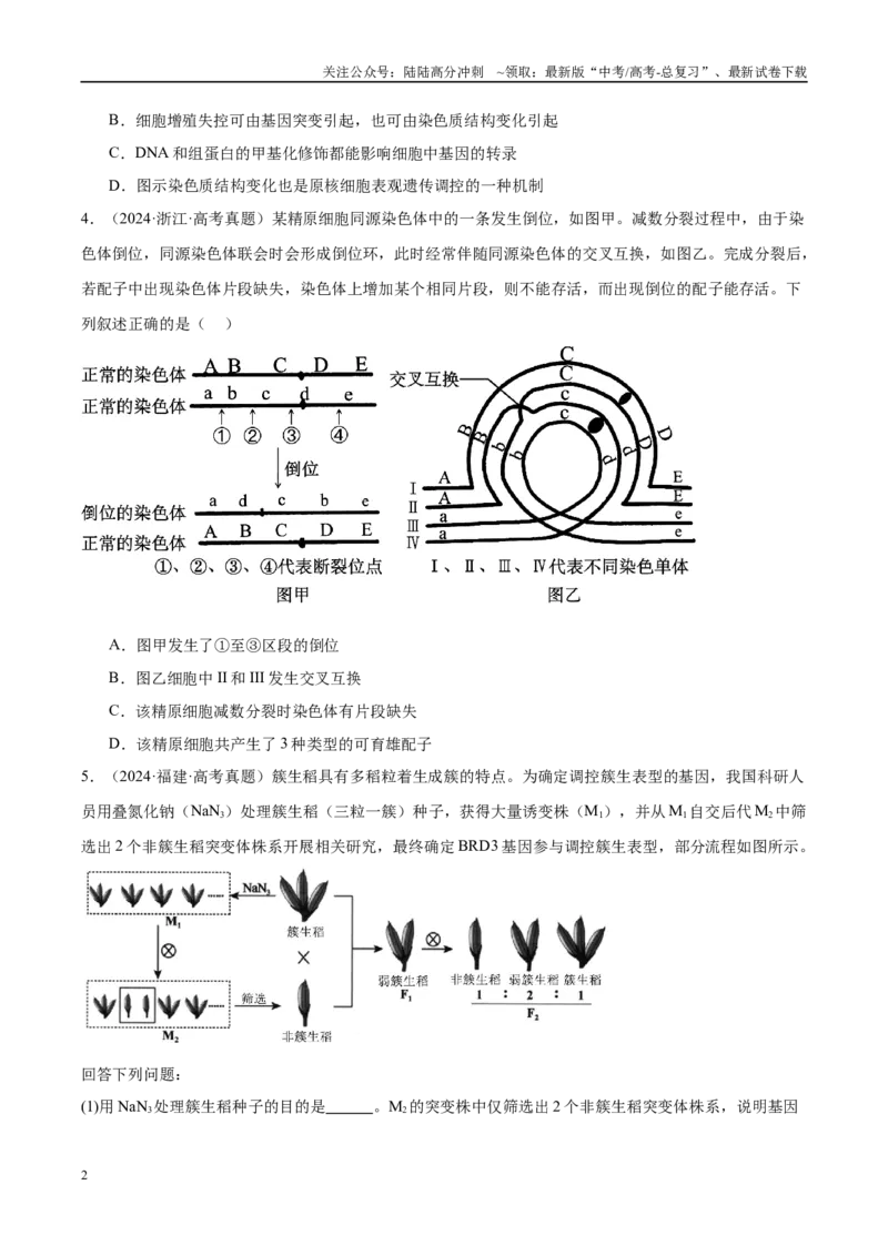 《专题14生物的变异（学生版）_06-生物-高考总复习_一轮复习_2025年_2025年高考生物一轮复习考点精讲精练（新高考通用）》第2页预览