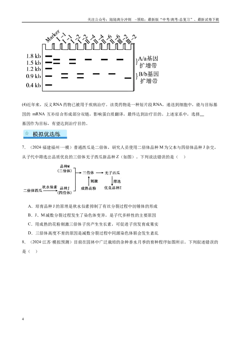 《专题14生物的变异（学生版）_06-生物-高考总复习_一轮复习_2025年_2025年高考生物一轮复习考点精讲精练（新高考通用）》第4页预览