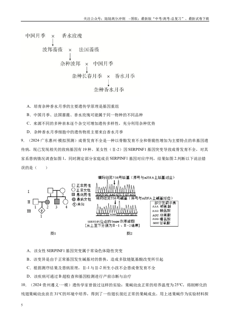 《专题14生物的变异（学生版）_06-生物-高考总复习_一轮复习_2025年_2025年高考生物一轮复习考点精讲精练（新高考通用）》第5页预览