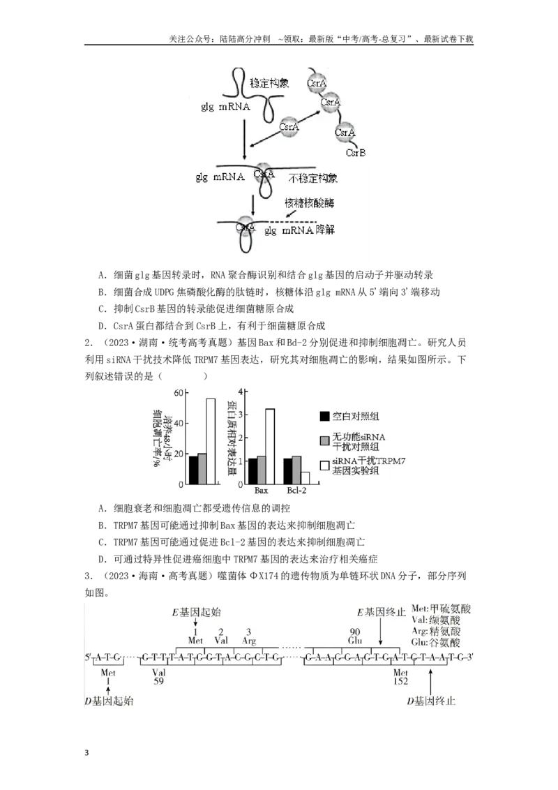 《专题14基因的表达（原卷版）_06-生物-高考总复习_一轮复习_2024年_2024年高考生物一轮复习讲义抢分特训易错考点真题_2019人教版必修2(4)份》第3页预览