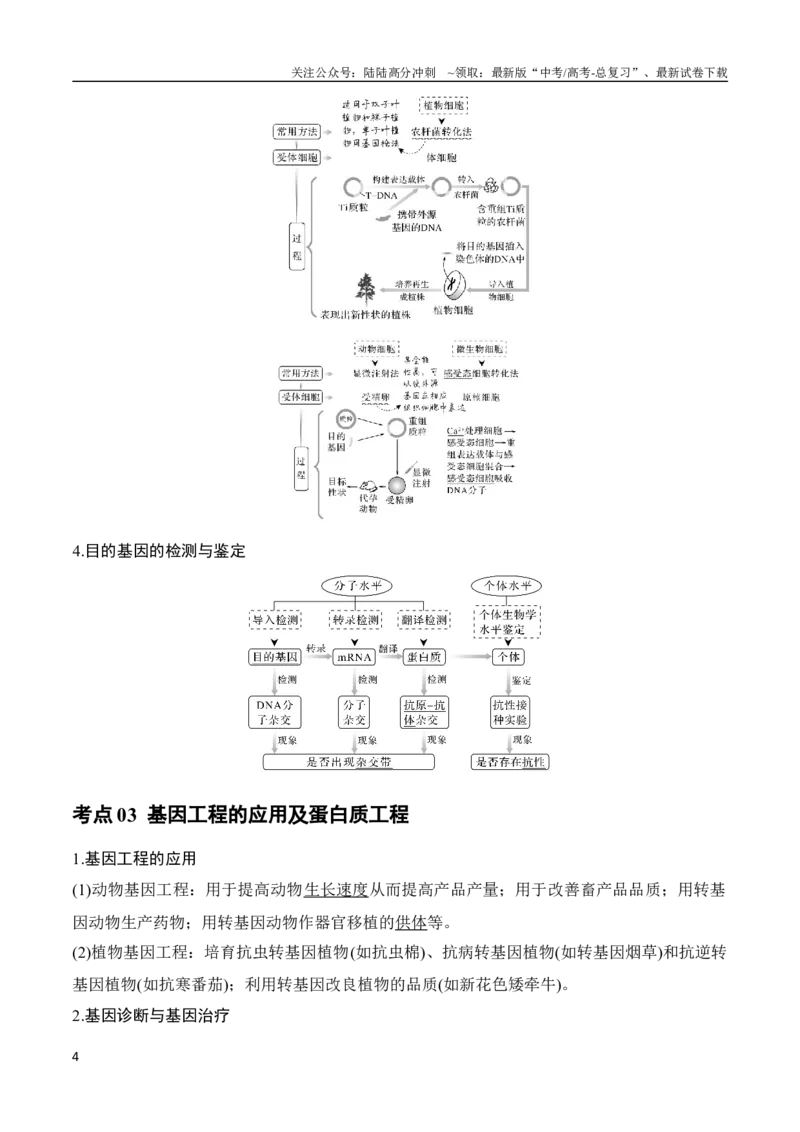《专题15基因工程(教师版)_06-生物-高考总复习_专项复习_2024年_2024年高考生物总复习核心题型解读与全攻略新教材_资料》第4页预览