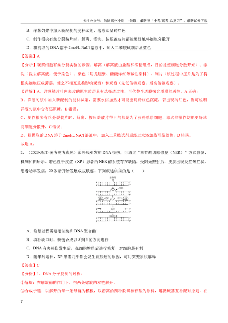 《专题15基因工程(教师版)_06-生物-高考总复习_专项复习_2024年_2024年高考生物总复习核心题型解读与全攻略新教材_资料》第7页预览