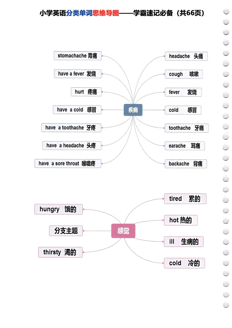 《小学英语分类单词《思维导图》—学霸速记必备66页全_小学1-6年级全科全套_1-6年级全科下册_四年级_其他补充资料_热门资料_英语》第10页预览