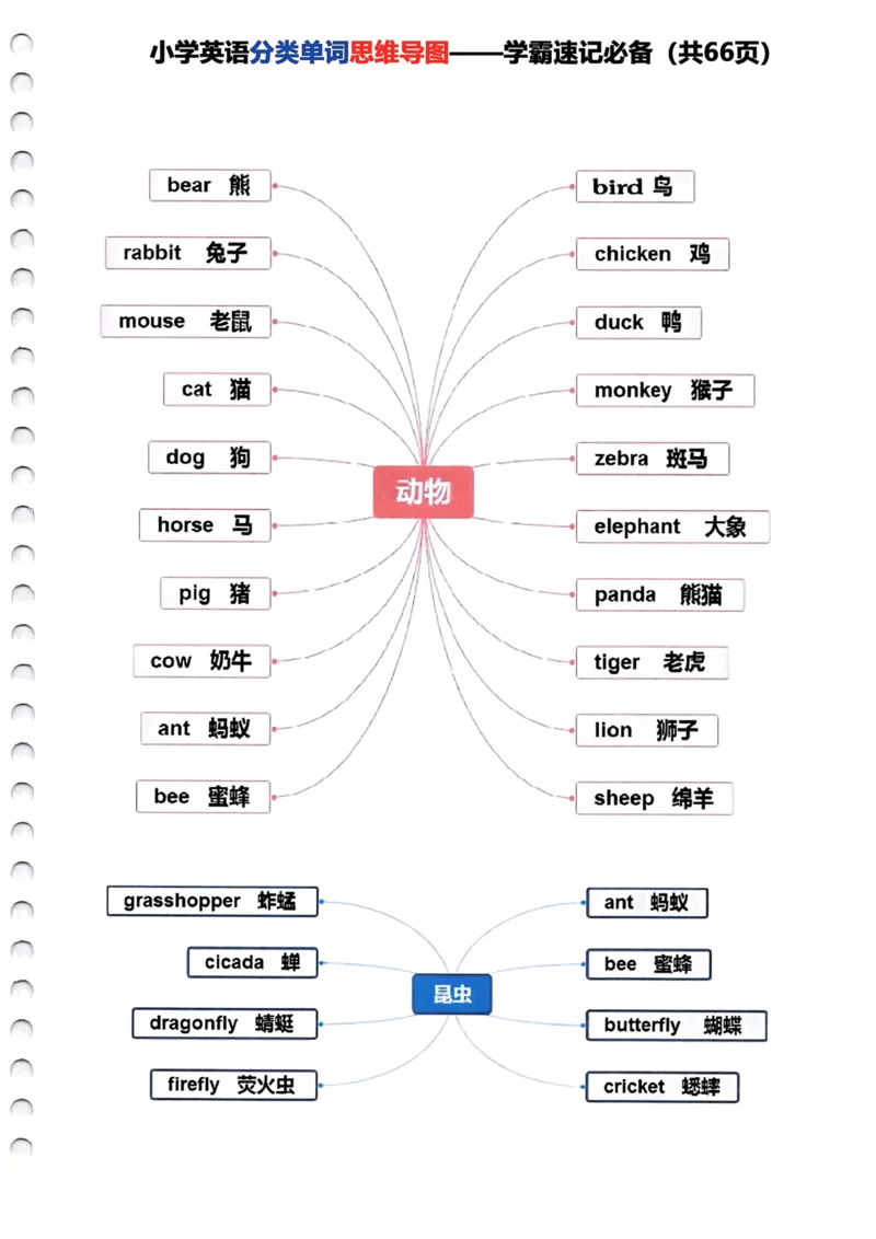 《小学英语分类单词《思维导图》—学霸速记必备66页全_小学1-6年级全科全套_1-6年级全科下册_四年级_其他补充资料_热门资料_英语》第3页预览
