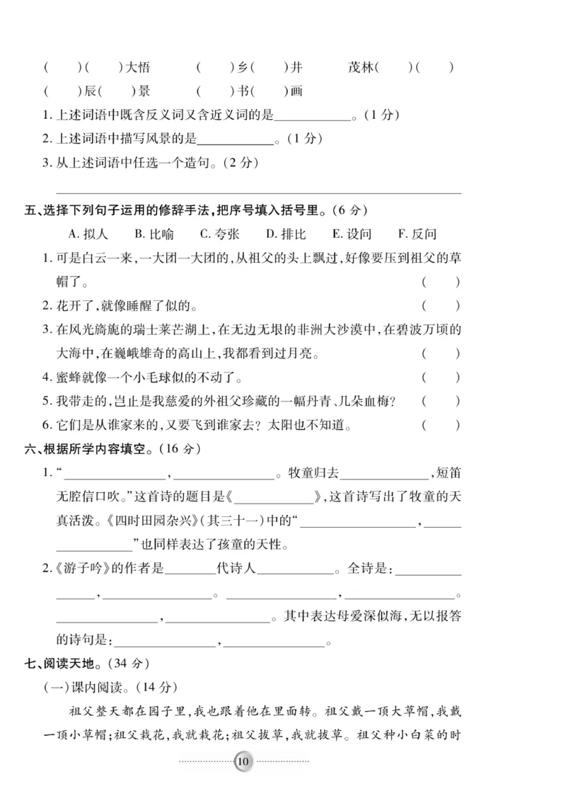 《《研优-大考卷》语文五年级下册（R）_小学1-6年级全科全套_1-6年级全科下册_五年级_五年级下语文_语文五下电子册类》第10页预览