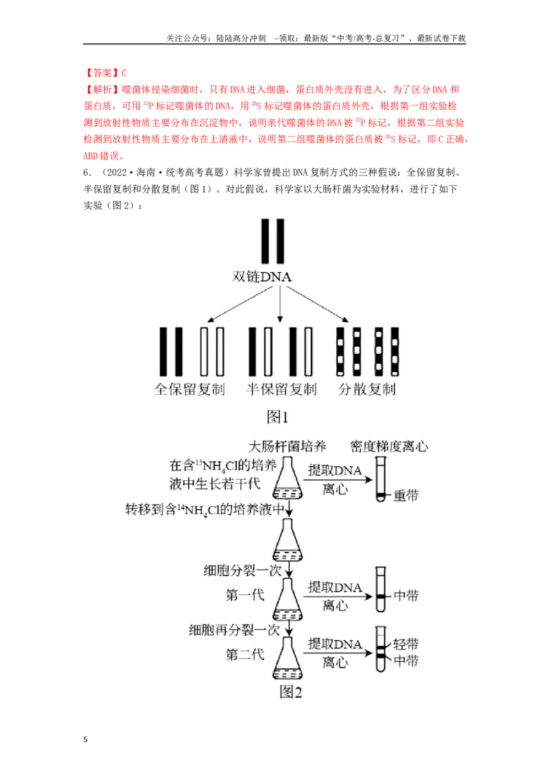 《专题13遗传的分子基础（解析版）_06-生物-高考总复习_一轮复习_2024年_2024年高考生物一轮复习讲义抢分特训易错考点真题_2019人教版必修2(4)份》第5页预览