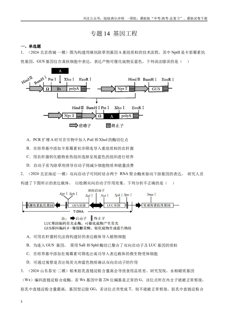 《专题14基因工程（原卷版）_06-生物-高考总复习_专项复习_2024年_2024年高考生物重难压轴题型考前终极押题_资料》第1页预览