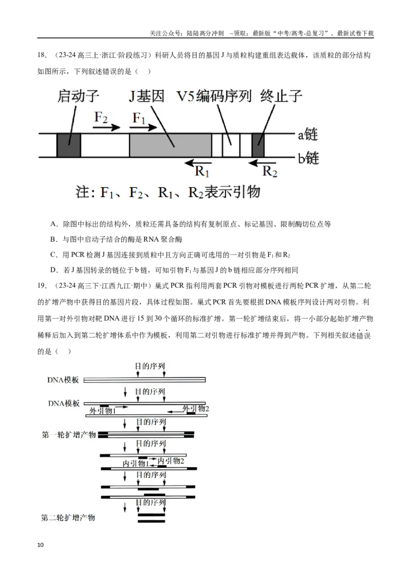 《专题14基因工程（原卷版）_06-生物-高考总复习_专项复习_2024年_2024年高考生物重难压轴题型考前终极押题_资料》第10页预览