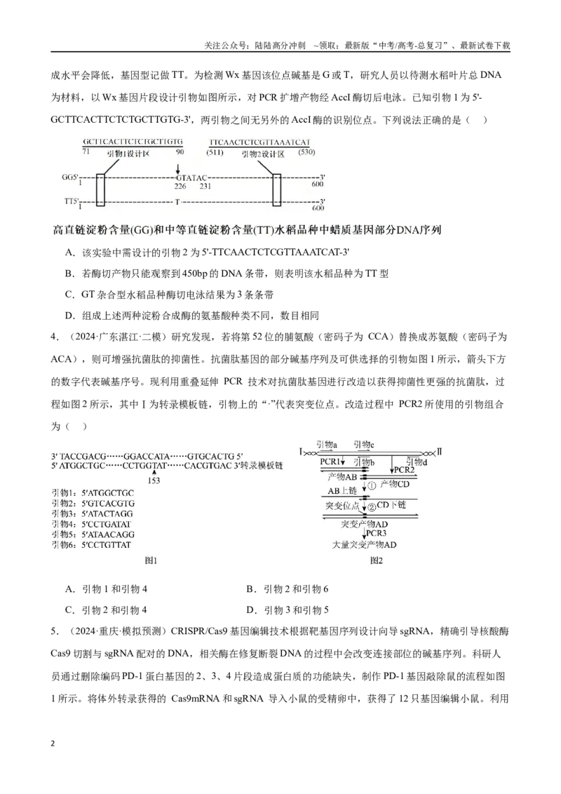 《专题14基因工程（原卷版）_06-生物-高考总复习_专项复习_2024年_2024年高考生物重难压轴题型考前终极押题_资料》第2页预览