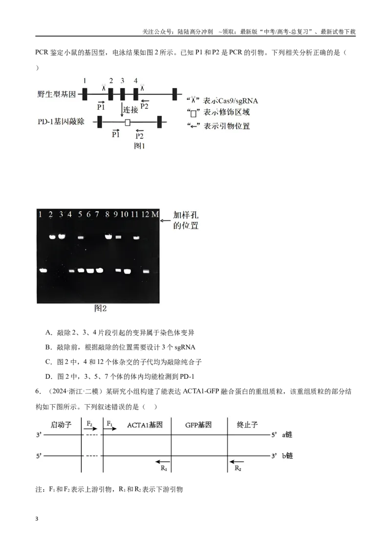 《专题14基因工程（原卷版）_06-生物-高考总复习_专项复习_2024年_2024年高考生物重难压轴题型考前终极押题_资料》第3页预览